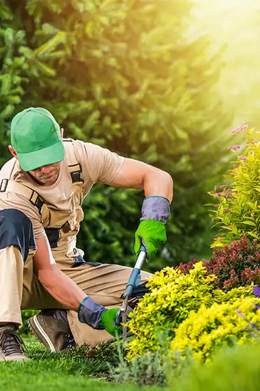 Gaziantep Temizlik ve Peyzaj Şirketi - Tekyol Temizlik ve Peyzaj